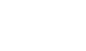 WHITELogan City Council