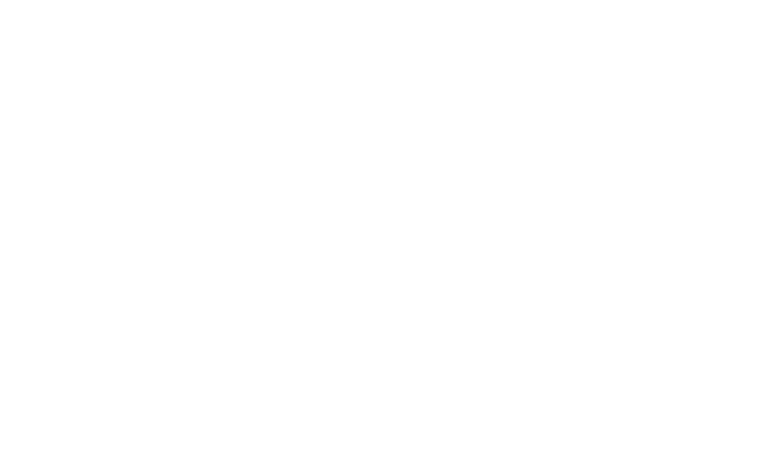 WHITELogan City Council