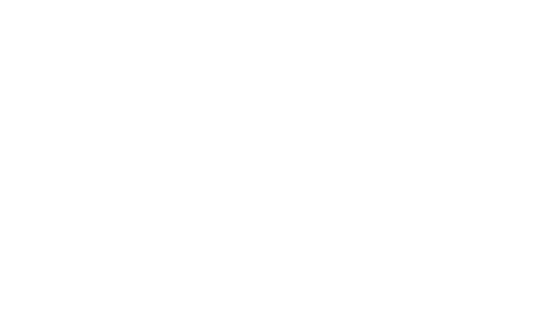 WHITEWpay